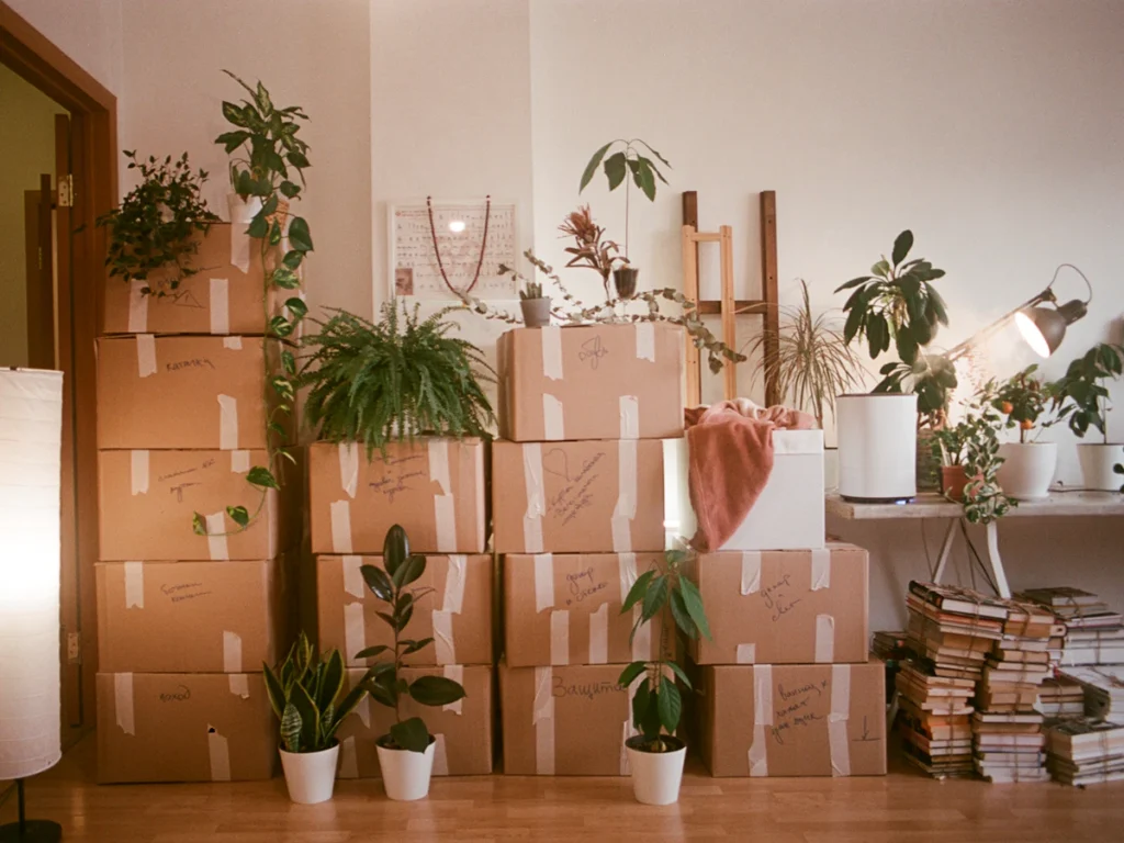 Room filled with packed moving boxes and plants ready for relocation